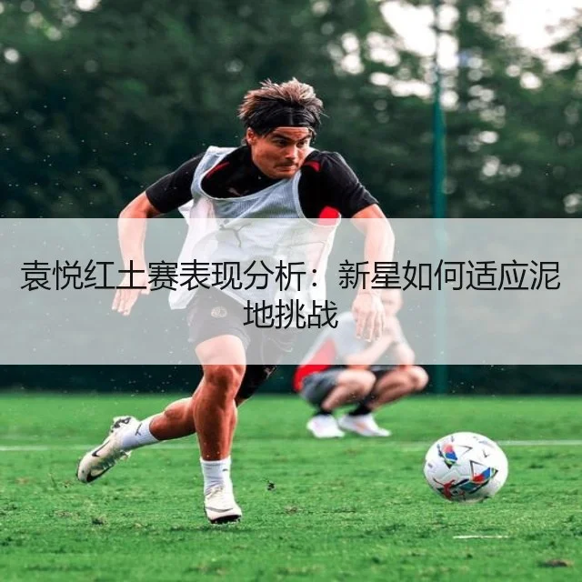袁悦红土赛表现分析：新星如何适应泥地挑战